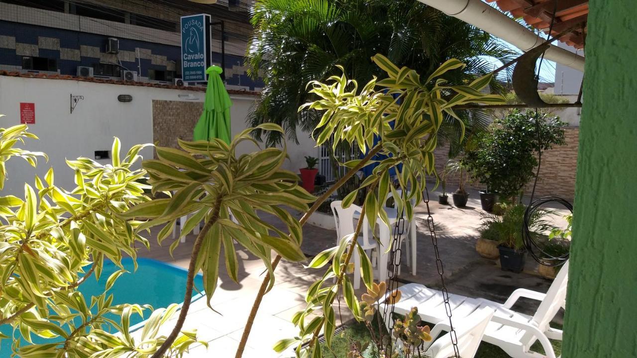 Pousada Cavalo Branco Cabo Frio Exterior foto